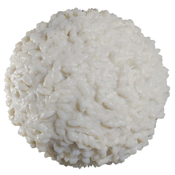 Cooked Rice Texture (Sphere)