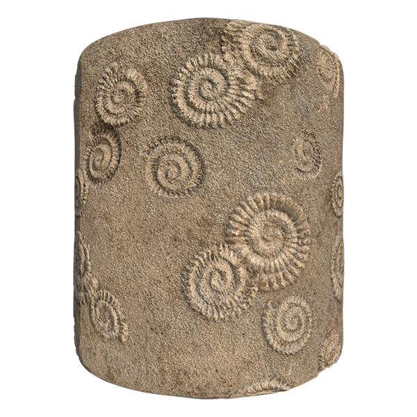 Fossil Rock Texture (Cylinder)