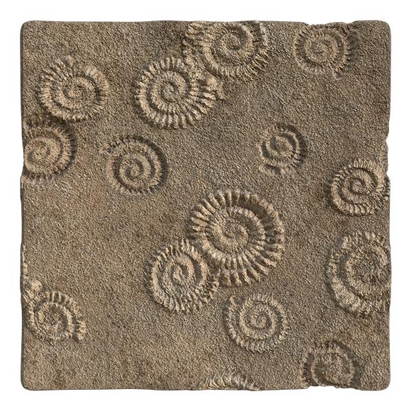 Fossil Rock Texture (Plane)