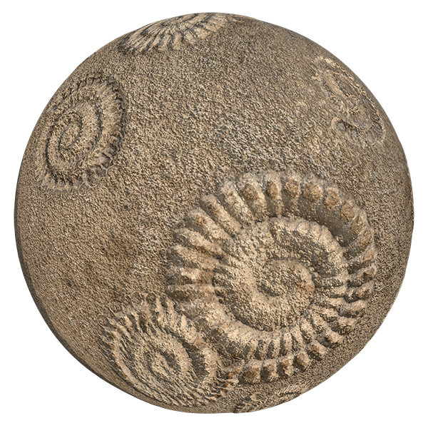 Fossil Rock Texture (Sphere)