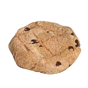 Cookie with Chocolate Chips 3D Model