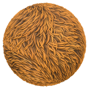 Stylized Fur and Hair Texture