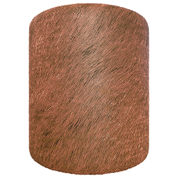 Fur Texture of Animals (Cylinder)