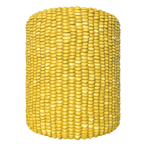 Corn(Maize) Texture (Cylinder)