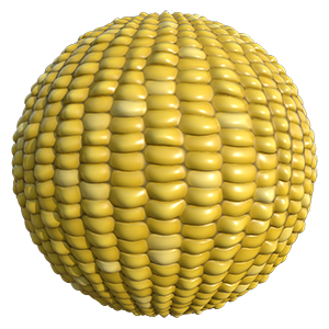Corn(Maize) Texture