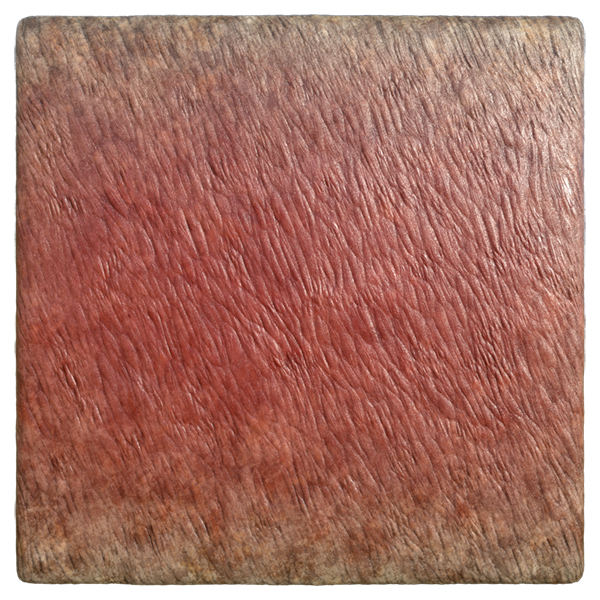 Steak Doneness Texture (Plane)