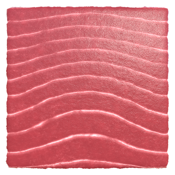 Tuna Fish Meat Texture (Plane)