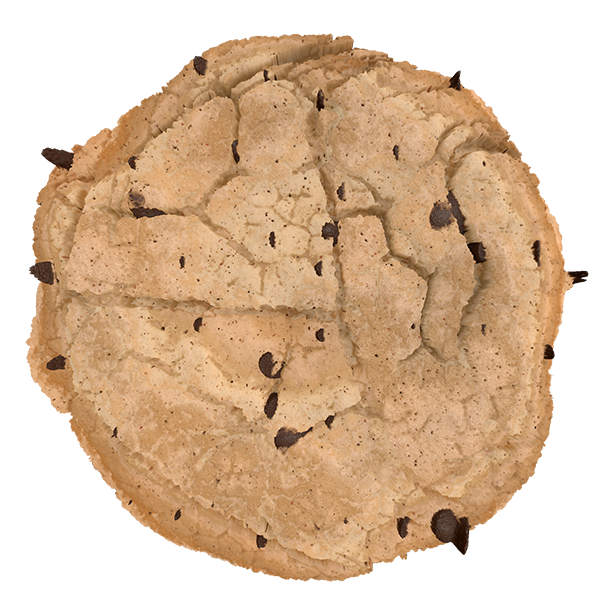 Baked Cookie Texture with Chocolate Chips (Plane)
