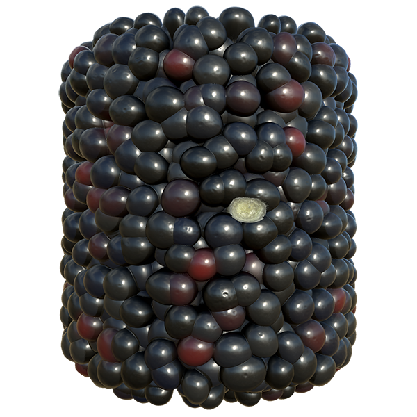 Blackberry Texture (Cylinder)