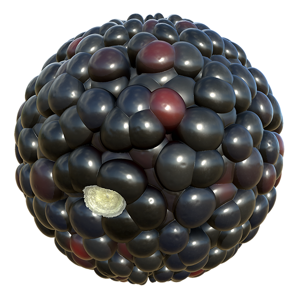Blackberry Texture (Sphere)