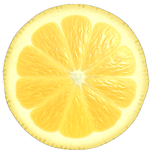 Lemon Slice Cross Section