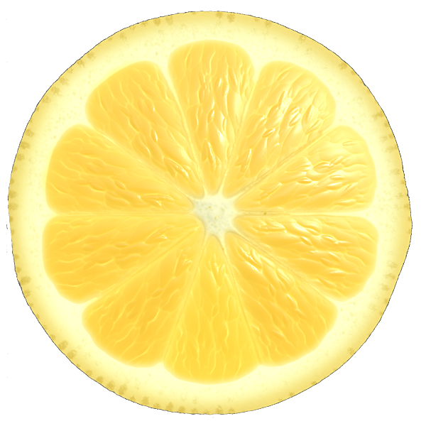 Lemon Slice Cross Section (Sphere)