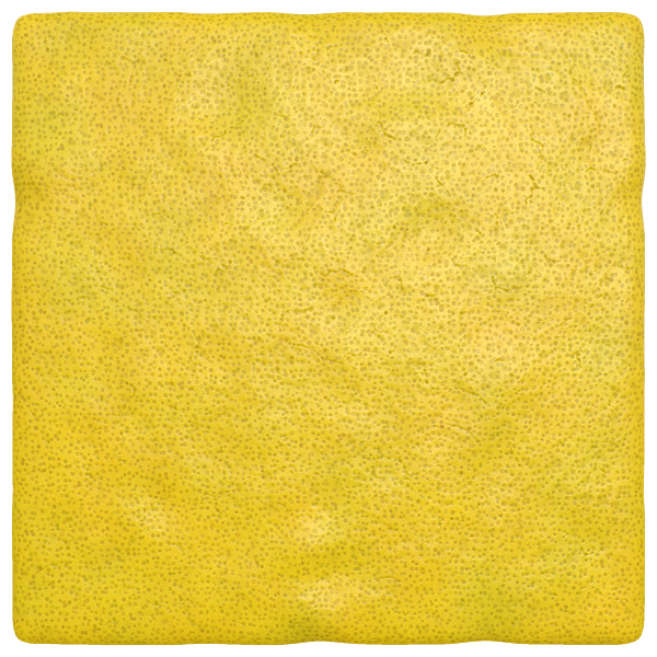 Lemon Skin Texture (Plane)