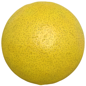 Lemon Skin Texture
