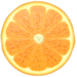 Orange Slice Texture