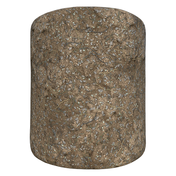 Forest Ground Texture with Twigs, Pebbles and Rocks (Cylinder)