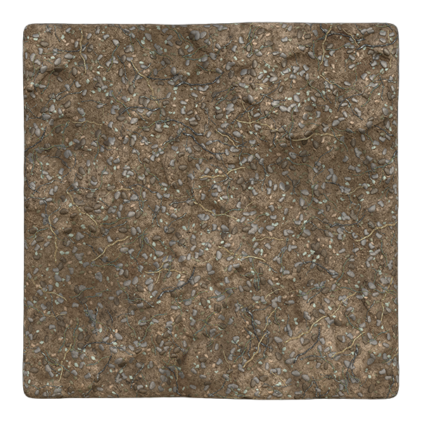 Forest Ground Texture with Twigs, Pebbles and Rocks (Plane)