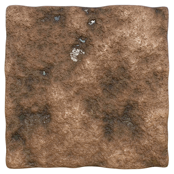 Swampy and Muddy Wetland Texture (Plane)