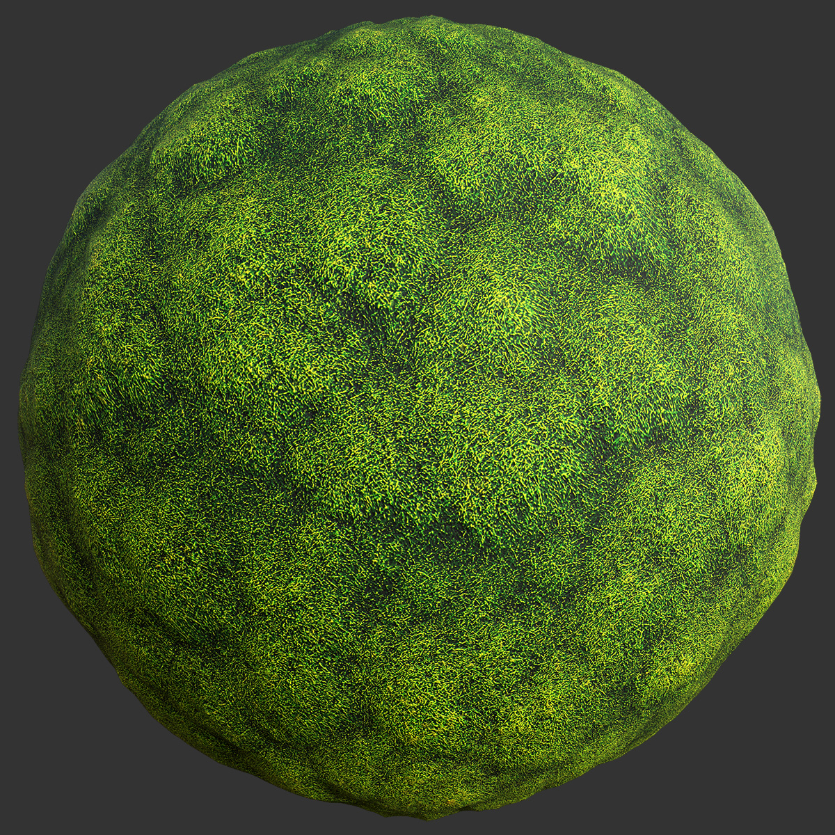 Moss Texture Seamless