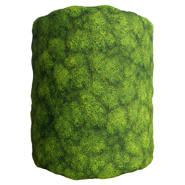 Moss Texture (Cylinder)
