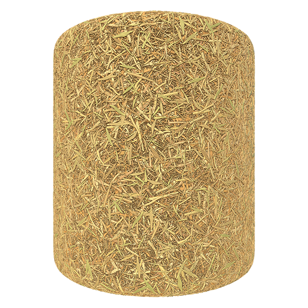 Dry Straw Grass / Hay Texture (Cylinder)