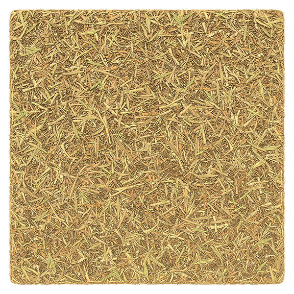 Dry Straw Grass / Hay Texture (Plane)