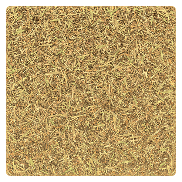 Dry Straw Grass Hay Texture Free Pbr Texturecan