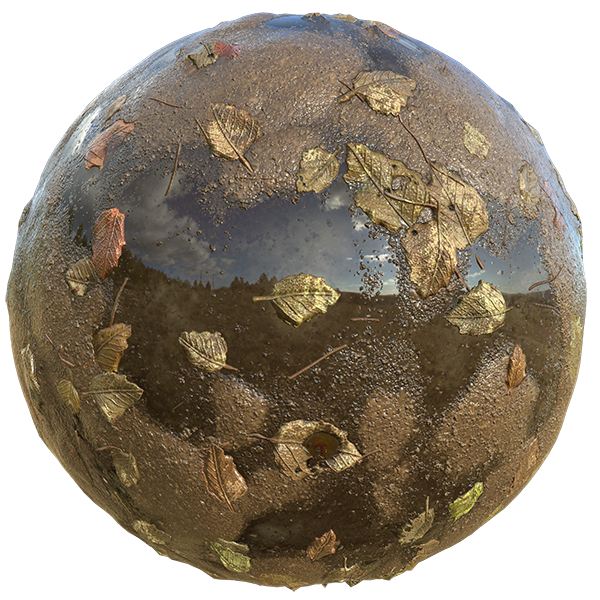 Muddy Swamp with Fallen Leaves (Sphere)