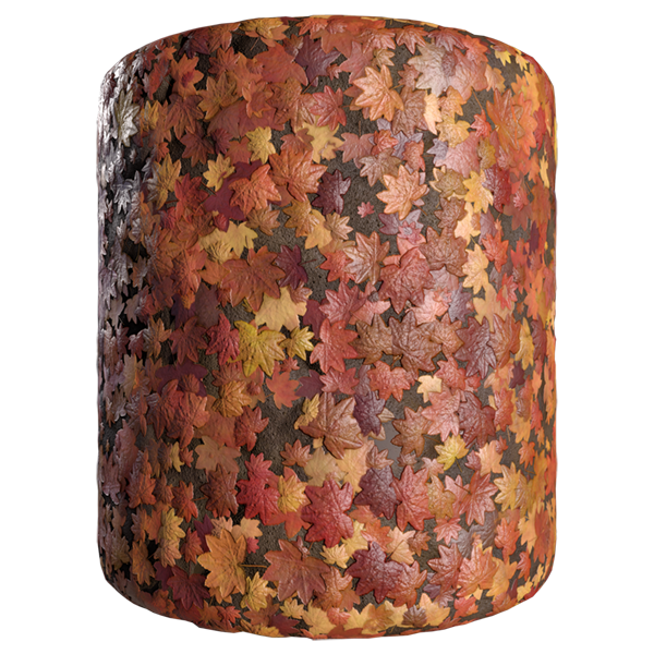 Ground Covered by Maple Leaves (Cylinder)
