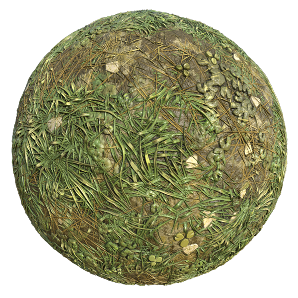 Pond Side Grassy and Muddy Land (Sphere)