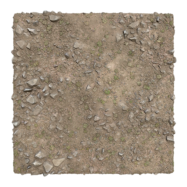 Sandy Trail Texture with Rocks, Pebbles and Plants (Plane)