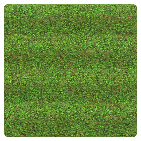 Football / Soccer Grass Field with Alternating Bands (Plane)