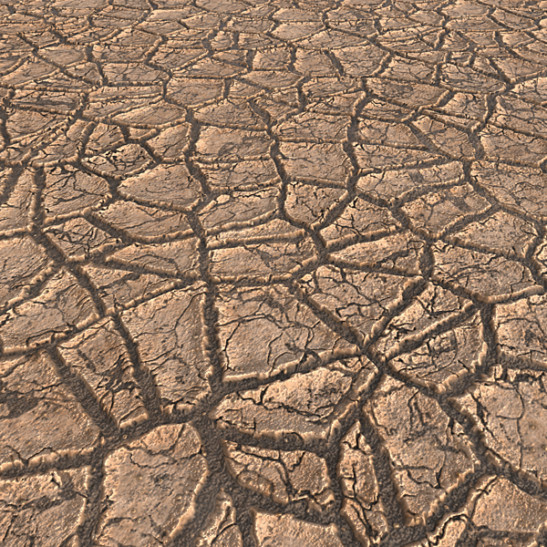 Cracked Earth in Field During Drought