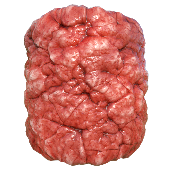 Bloody Organ, Intestine or Flesh Texture (Cylinder)