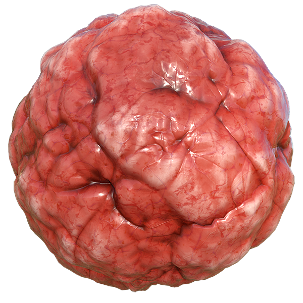 Bloody Organ, Intestine or Flesh Texture (Sphere)