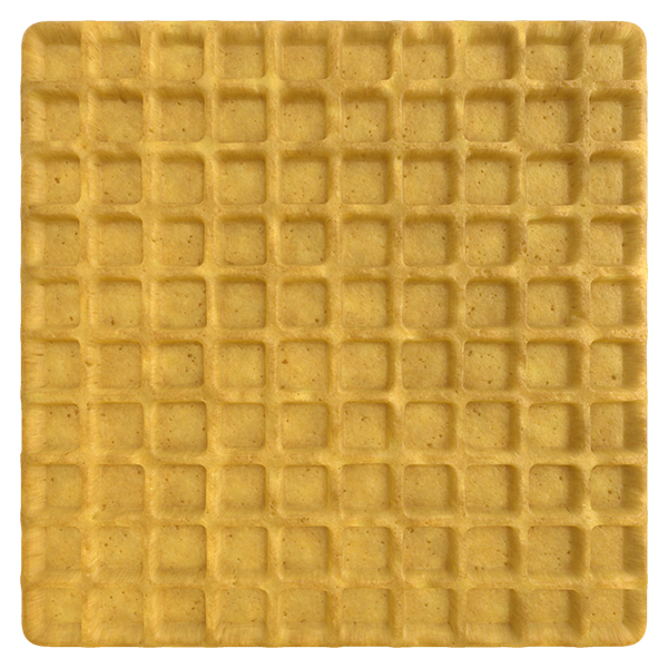 Spongy Waffle Texture (Plane)