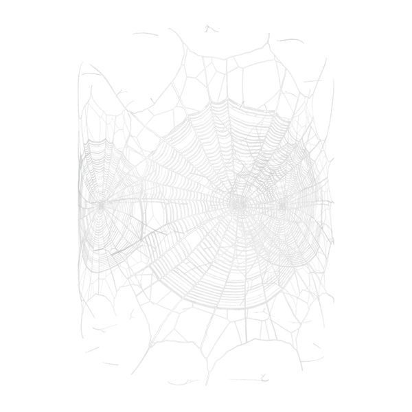 Spider Web / Cobweb Texture (Cylinder)