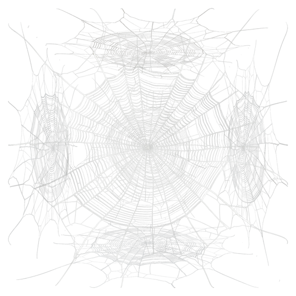 Spider Web / Cobweb Texture (Plane)
