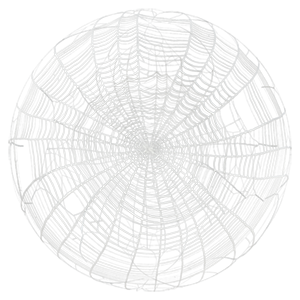 Spider Web / Cobweb Texture