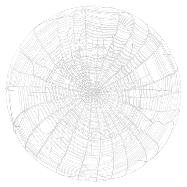 Spider Web / Cobweb Texture (Sphere)
