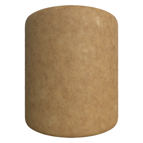 Plain Cardboard (Cylinder)
