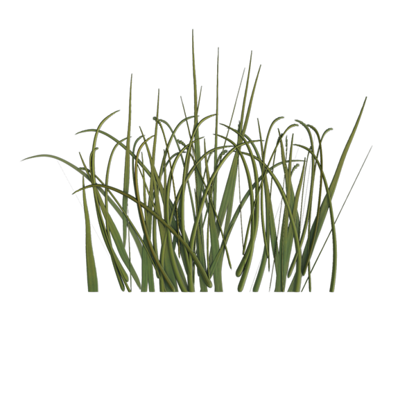 Grass Texture Generator (Plane)