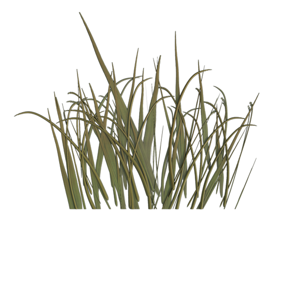 Grass Texture Generator (Plane)