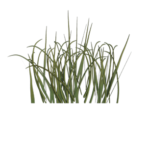 Grass Texture Generator