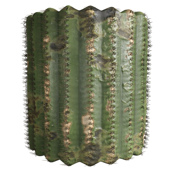 Spiky Cactus with Spines Texture (Cylinder)
