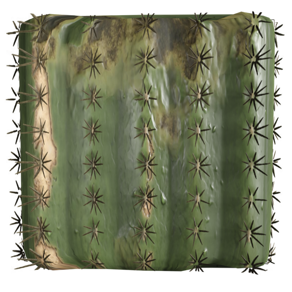 Spiky Cactus with Spines Texture (Plane)