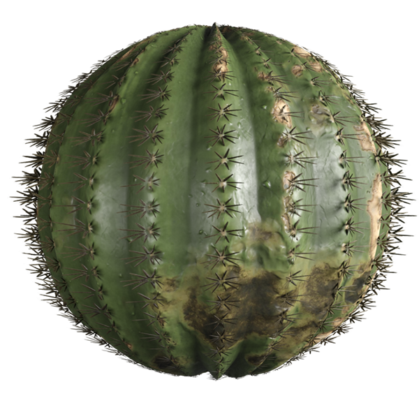 Spiky Cactus with Spines Texture (Sphere)