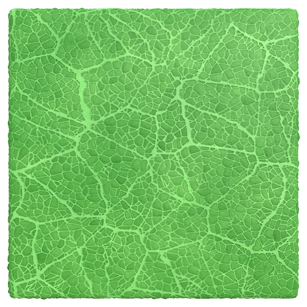 Leaf Vein Texture (Plane)