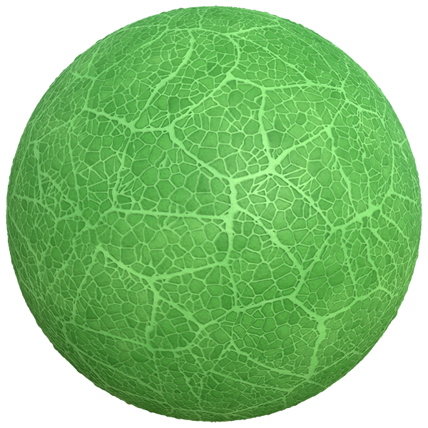 Leaf Vein Texture (Sphere)