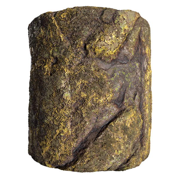 Mossy Rock Texture (Cylinder)